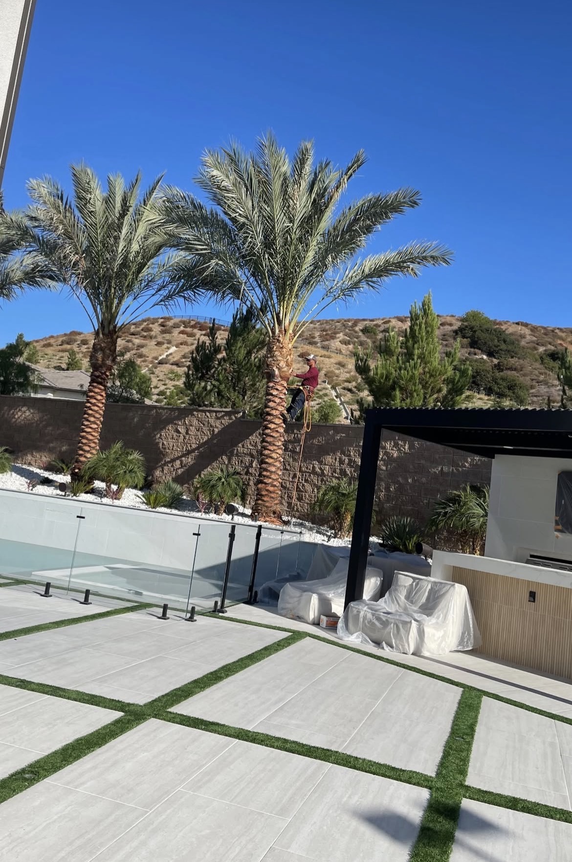 California Elite Tree Services | #1 Tree Service Los Angeles | 24/7 ...